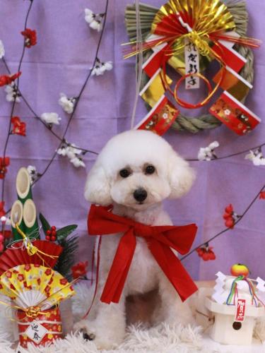 20230114ラテくん